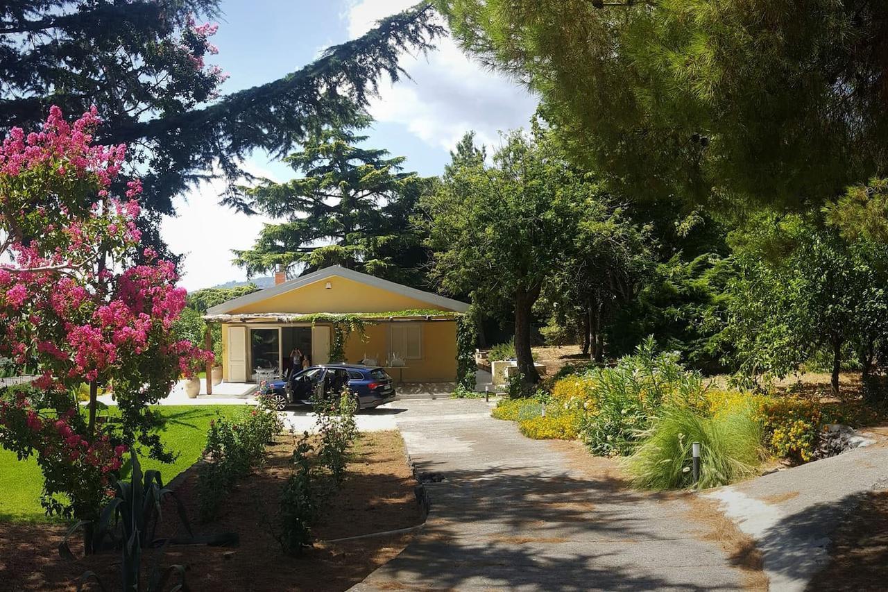 Villa Palm Hill Пиедимонте Етнео Екстериор снимка